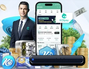 半岛综合 APP 深度功能